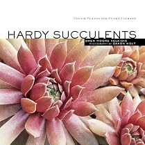 HARDY SUCCULENTS by