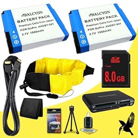 Two Halcyon 1500 mAH Lithium Ion Replacement Battery + 8GB SDHC Class 10 Memory card + Mini HDMI Cable + Waterproof Floating Strap + Multi Card USB Reader + Memory Card Wallet + Deluxe Starter Kit for GoPro HD Hero, HD Hero2, HD HERO Naked