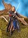 Lord of the Rings: Two Towers Gondorian Ranger Outfield with Weapons Action Figure_s-2