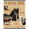My Favorite Books About Horses