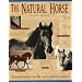 The Natural Horse: Foundations for Natural Horsemanship