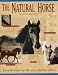 The Natural Horse: Foundations for Natural Horsemanship