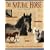 The Natural Horse: Foundations for Natural Horsemanship