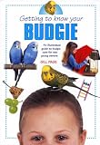 Getting to Know Your Budgie