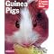raise healthy guinea pigs