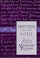 Meditations on the Soul: Selected Letters of Marsilio Ficino