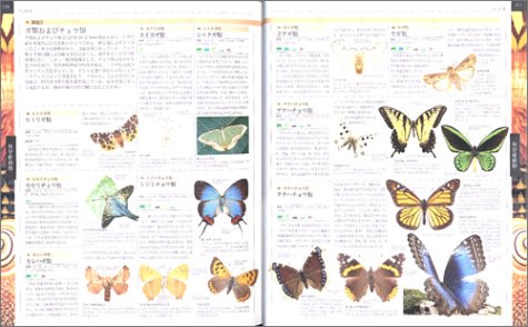Cover image : 世界動物大図鑑―ANIMAL DKブックシリーズ