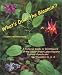 Book What's Doin' the Bloomin'?
