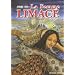 Femme limace (la) - Junji Ito collection N�5
