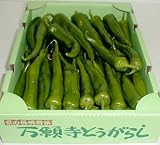 京都産 「京野菜」 万願寺とうがらし 1kg 京都産 「京野菜」 万願寺とうがらし 1kg