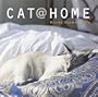 Cat at Home