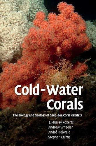 cold water corals the biology and geology of deep sea coral habitats