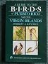 Guide to Birds of Puerto Rico & Virgin Islands