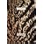 Dolce & Gabbana : Animal