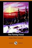 Cover for 9781406510171