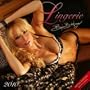 Lingerie 2010 Wall Calendar