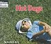 Hot Days (Welcome Books: Weather Report)