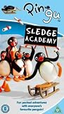 Review Hit Entertainment  / Pingu - Pingu's Sledge Academy