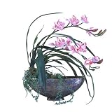Cymbidium Orchid and Sedum Vine Arrangement