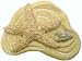 Set of 3 Seashell Nautical Beach Cabinet Knobs