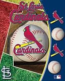 ST Louis Cardnials 3D Motion Poster 16x20