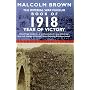 Imperial War Museum Book of 1918: Year of Victory (Pan Grand Strategy)