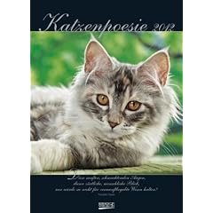 Katzenpoesie 2012