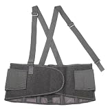 Proflex 100-S Economy with Rubber Track Back Support, Small