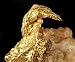 The Big Data Gold Rush