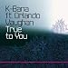 True to You (Pete Gust Remix) True to You (Pete Gust Remix)