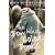 The Boy Who Loved Books: A Memoir