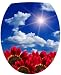 Sticker Autocollant Abattant WC Ciel Fleurs 35x42cm réf 048