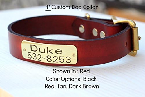 Magnus Leather Dog Collar 1" leather with ID plate (Medium 11"-14" Hole Measurement, Premium Red)