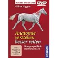 Anatomie verstehen - besser reiten