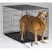 Midwest 1542 iCrate Single-Door Home Training and Travel Series, 42"L x 28"W x 30"H