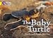 Books : The Baby Turtles: Band 03/Yellow (Collins Big Cat)