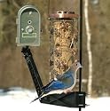 Wingscapes Mounting Arm for BirdCam