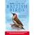 RSPB Guide to British Birds