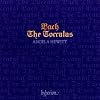 J.S. Bach: The Toccatas