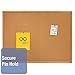 Quartet Cork Board, Bulletin Board, 2' x 1.5' Corkboard, Oak Finish Frame (301)