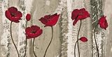 Produkt-Bild: Blumen - Audition Von Brian Francis Poster Kunstdruck (100 x 50cm)