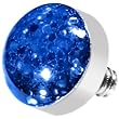 Blue Glitter Dome Dermal Top