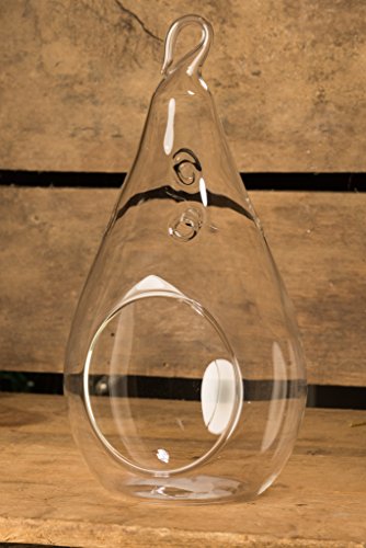 Hinterland Trading Hanging Glass Large Teardrop Globe Terrarium Perfect for Air Plants