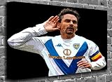 Roberto Baggio - Bologna - Sports Football Canvas Art Canvas Print Print Picture Size: (44