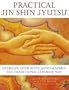 Practical Jin Shin Jyntsn