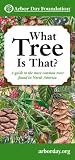 What Tree Is That?: A Guide to the More Common Trees Found in North America