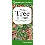 What Tree Is That?: A Guide to More Common Trees of North America