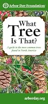 What Tree Is That?: A Guide to the More Common Trees Found in North America