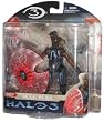 Halo 3 Jackal Major Action Figure