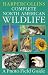 HarperCollins Complete North American Wildlife: A Photo Field Guide